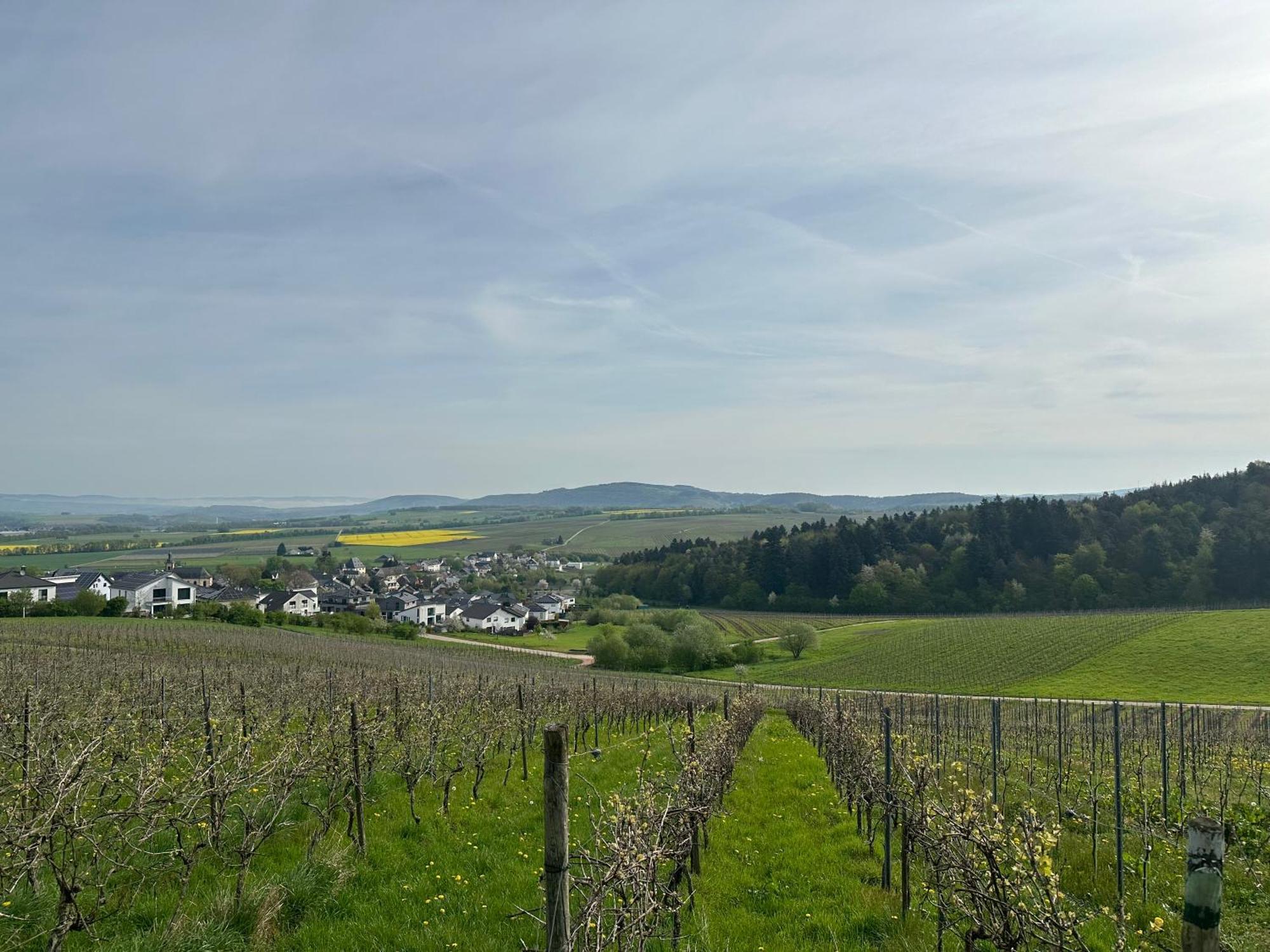 Ferienwohnung Moselherz - Urlaub Im Wein- Und Ferienort Bekond Εξωτερικό φωτογραφία