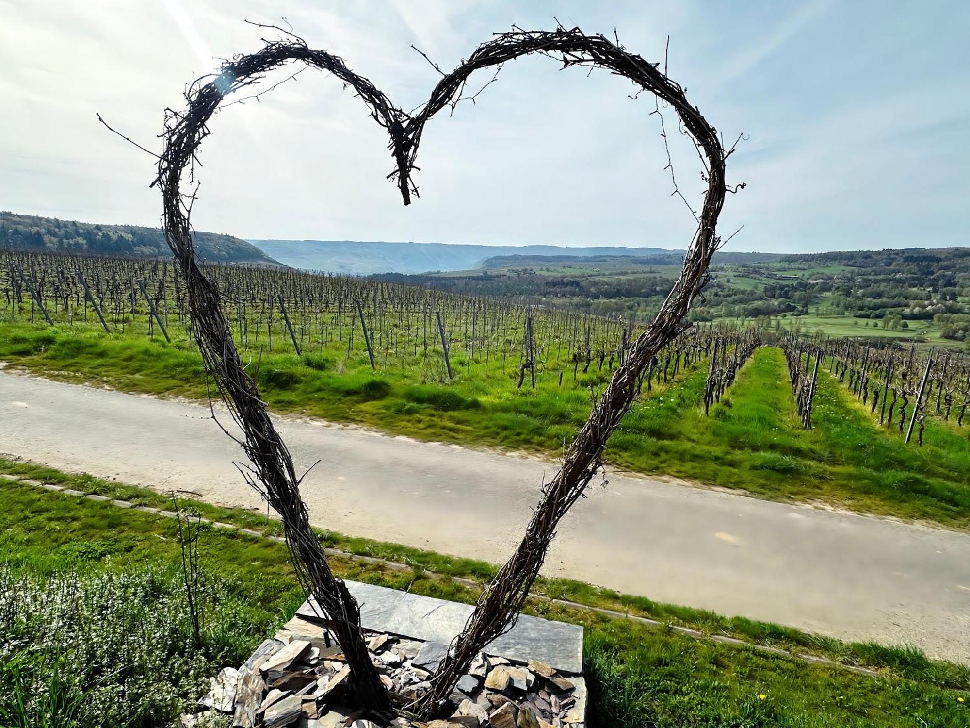Ferienwohnung Moselherz - Urlaub Im Wein- Und Ferienort Bekond Εξωτερικό φωτογραφία