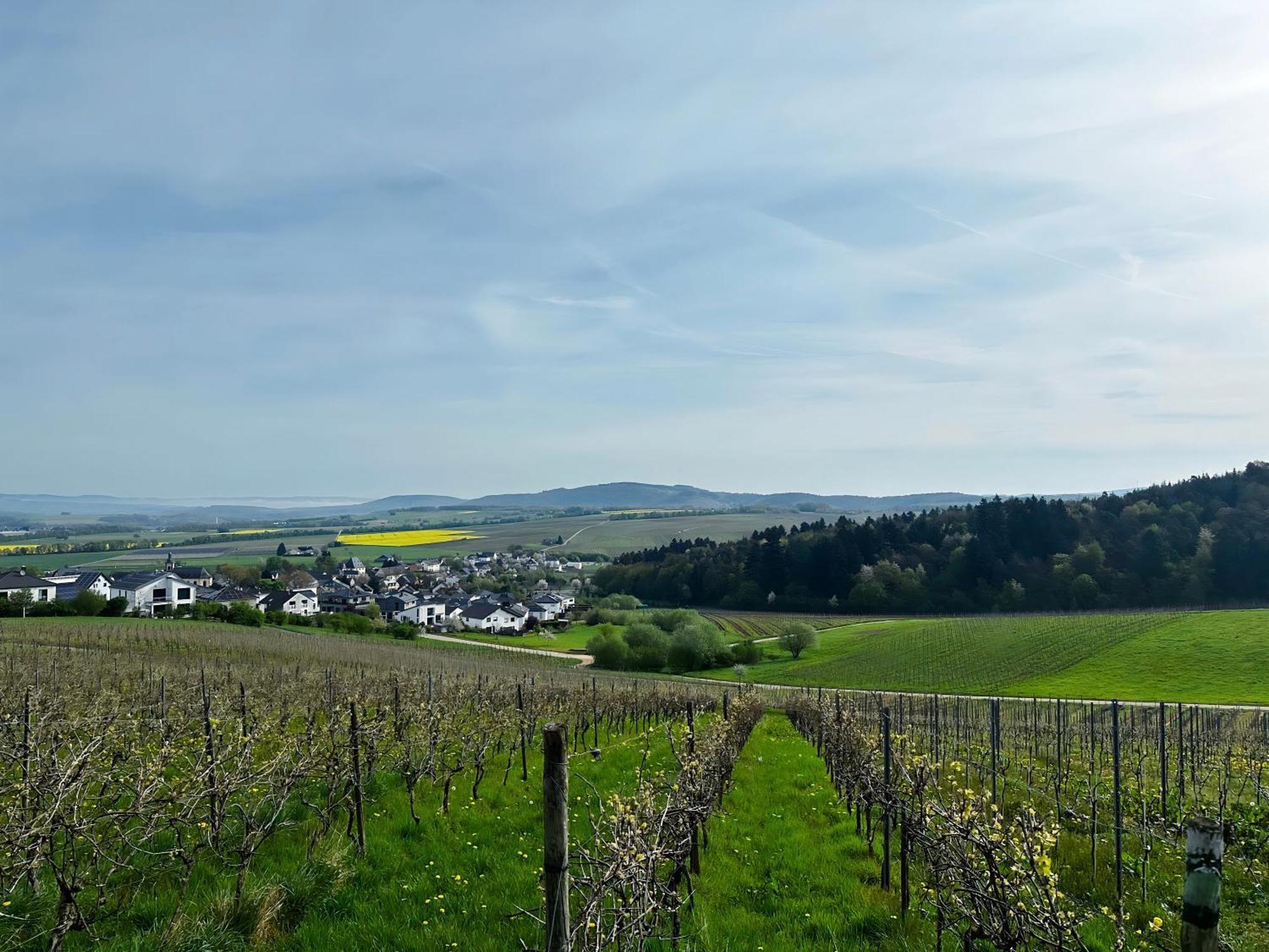 Ferienwohnung Moselherz - Urlaub Im Wein- Und Ferienort Bekond Εξωτερικό φωτογραφία